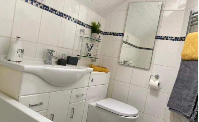 Cotswolds Lakeside Lodge - Nesbitt'S Nest South Cerney Eksteriør bilde